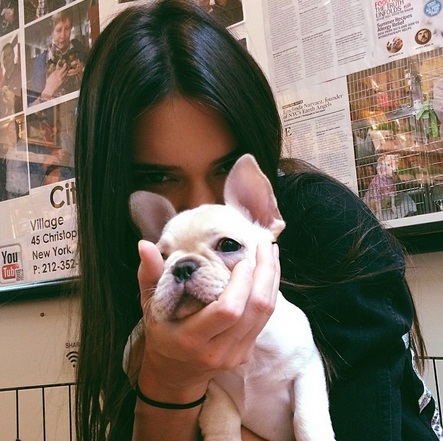 https://instagram.com/kendalljenner/
